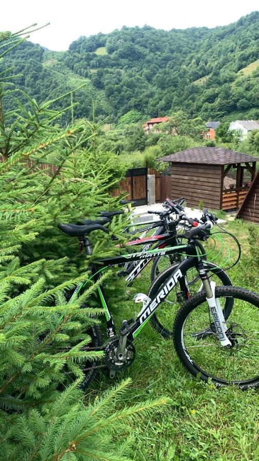 Vip-domyk Holiday home Rakhiv